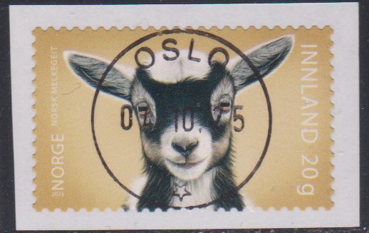 Nk 2126.  Oslo 07.10.25.