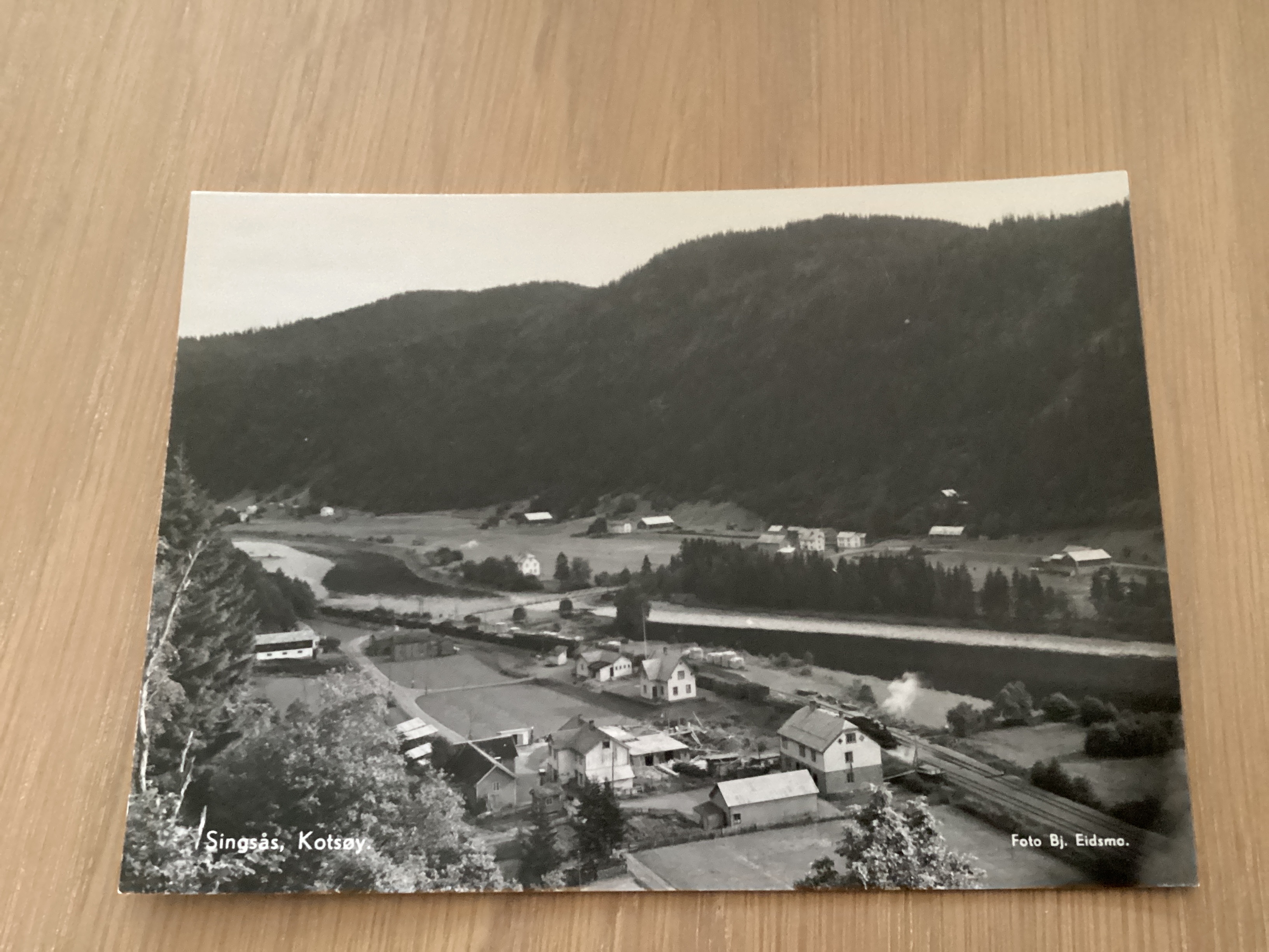 SINGSÅS KOTSØY