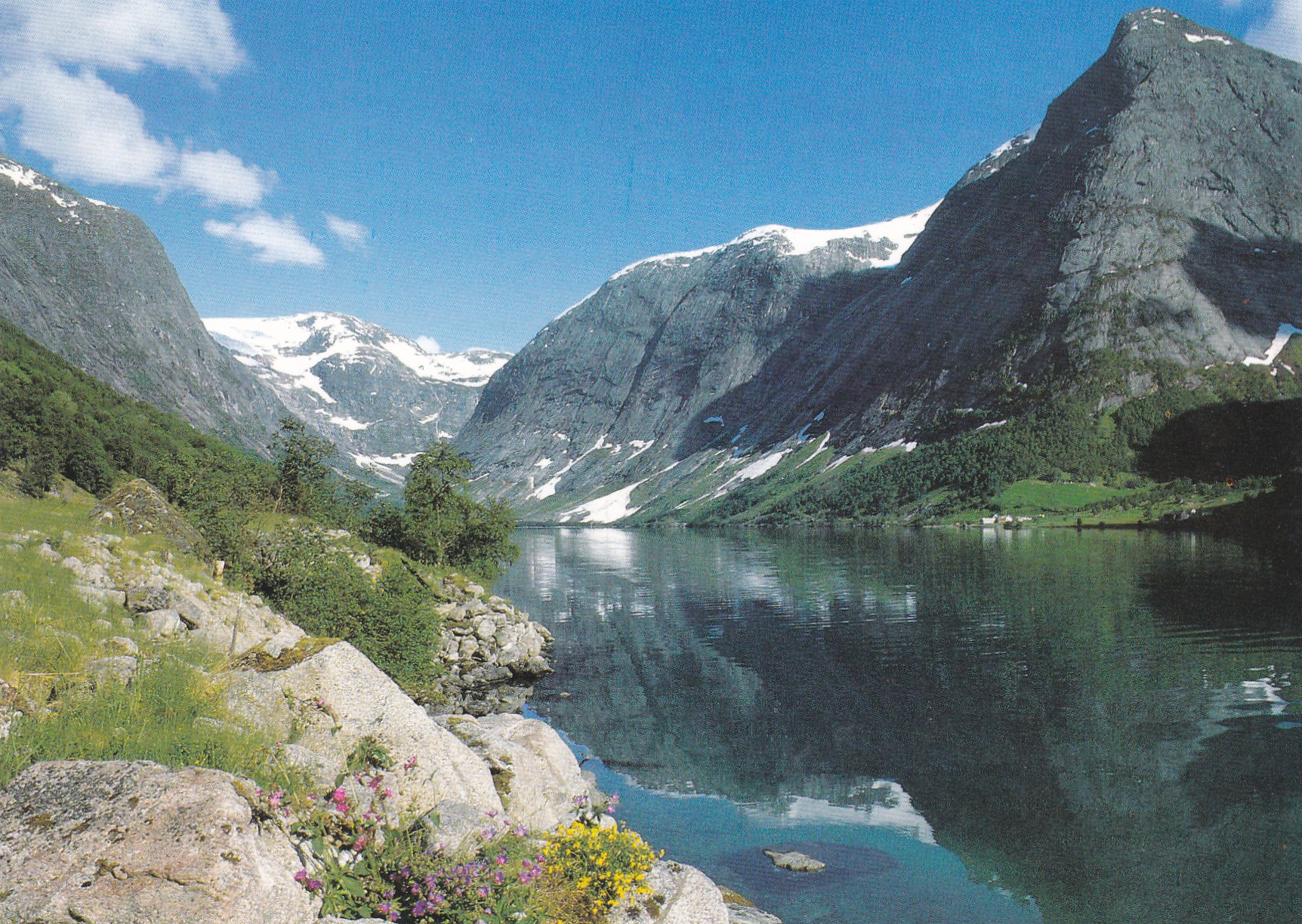 Parti fra Kjøsnesfjorden. Aune F-13214-9