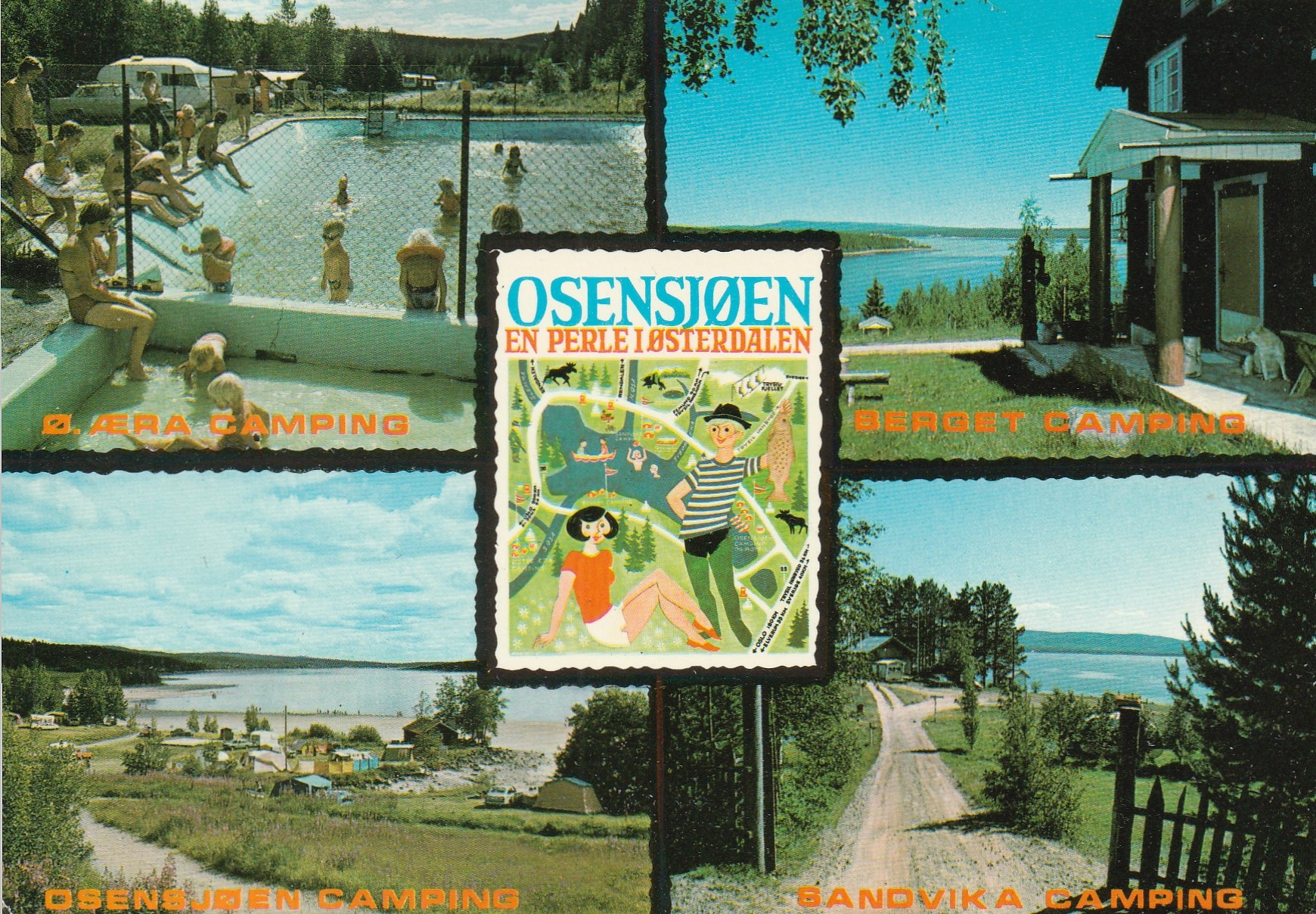 Osensjøen . Alme 6885
