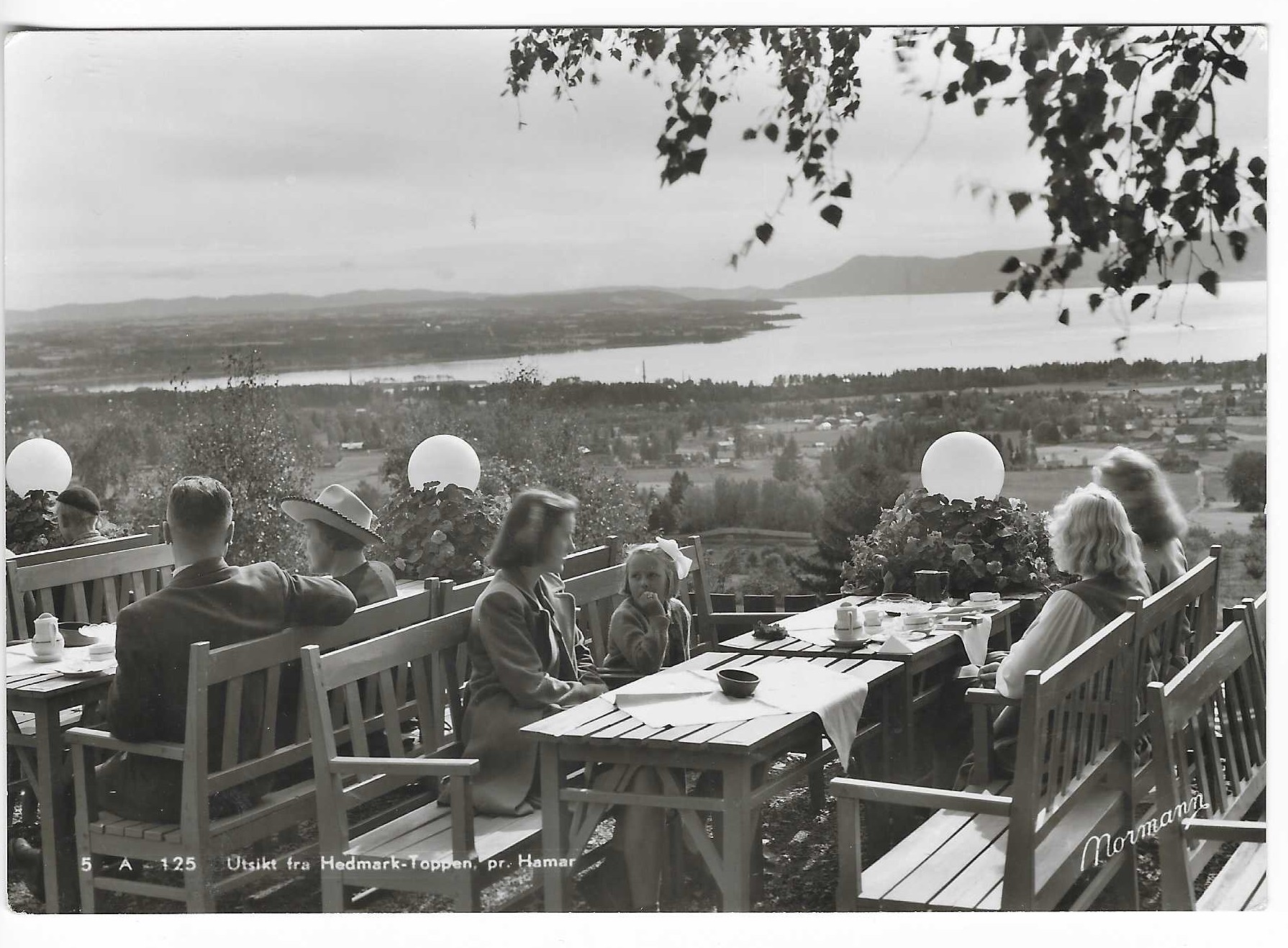 Utsikt fra Hedmark-Toppen pr.Hamar. Restaurant. Normann 5-A-125.