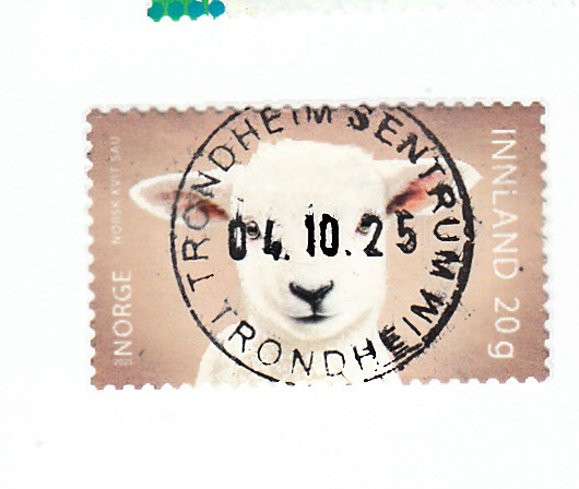 NK 2153 lux stemplet Trondheim sentrum 04.10.25 1. dag