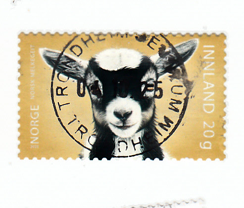 NK 2154 lux stemplet Trondheim sentrum 04.10.25 1. dag