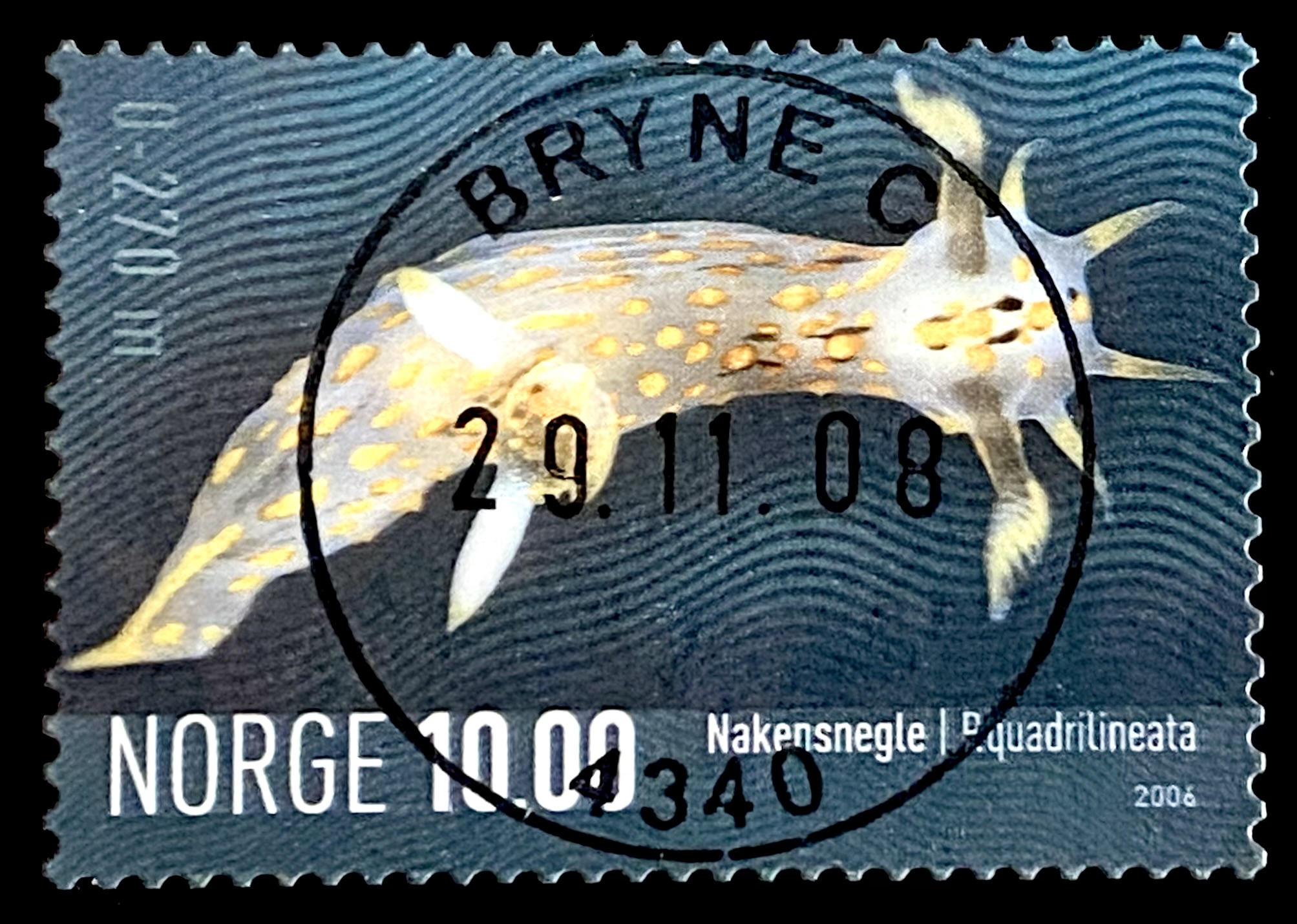 NK 1607 Bryne