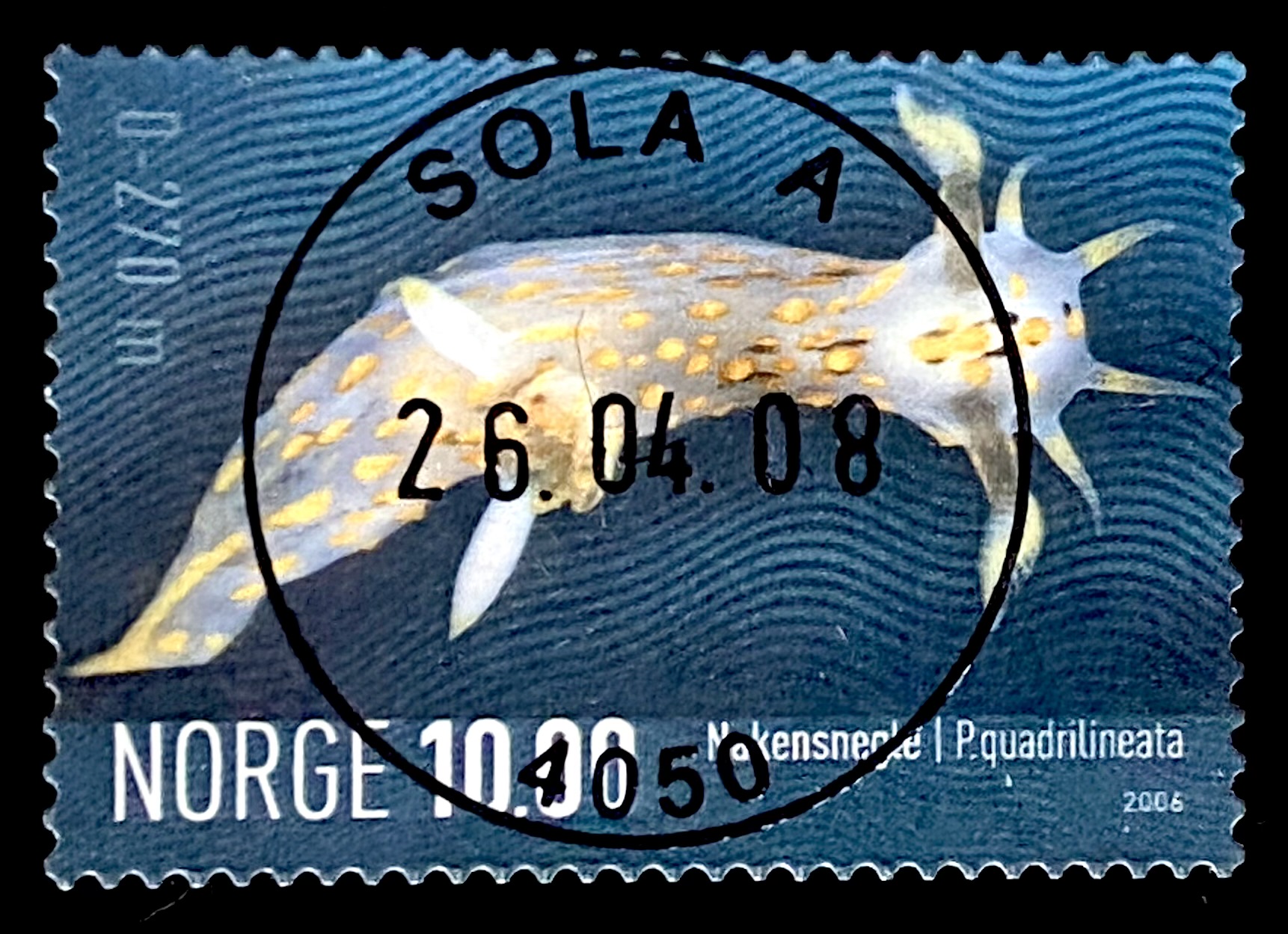 NK 1607 Sola