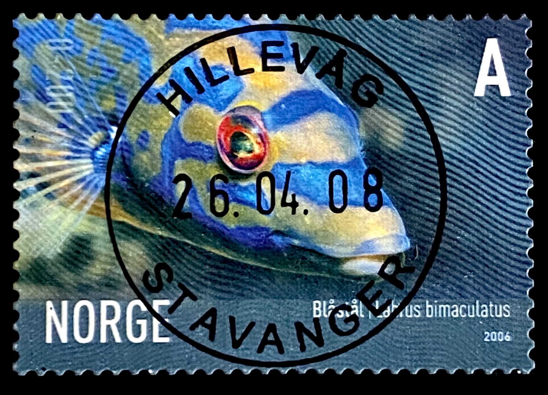NK 1625 Stavanger Hillevåg