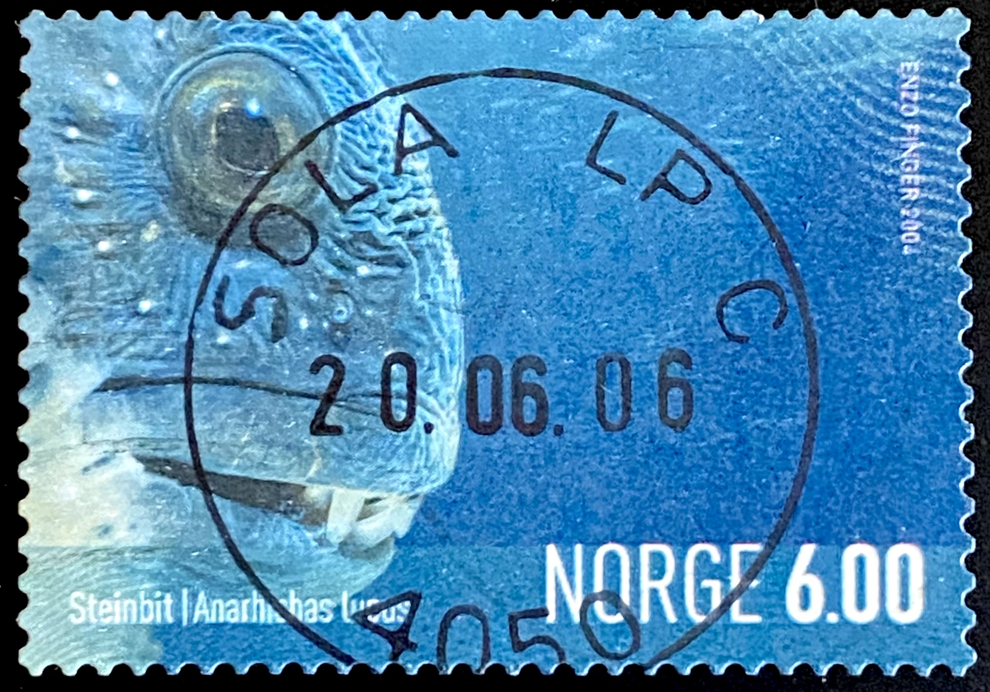 NK 1526 Sola