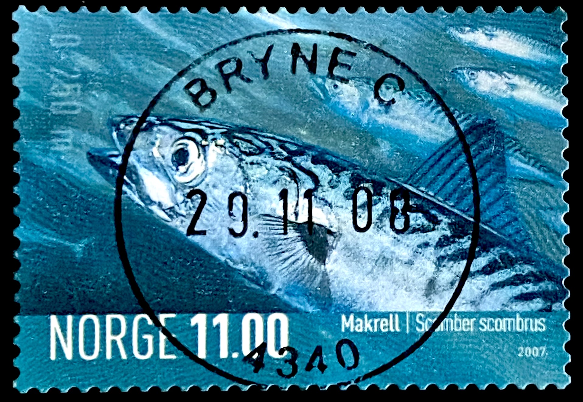 NK 1651 Bryne