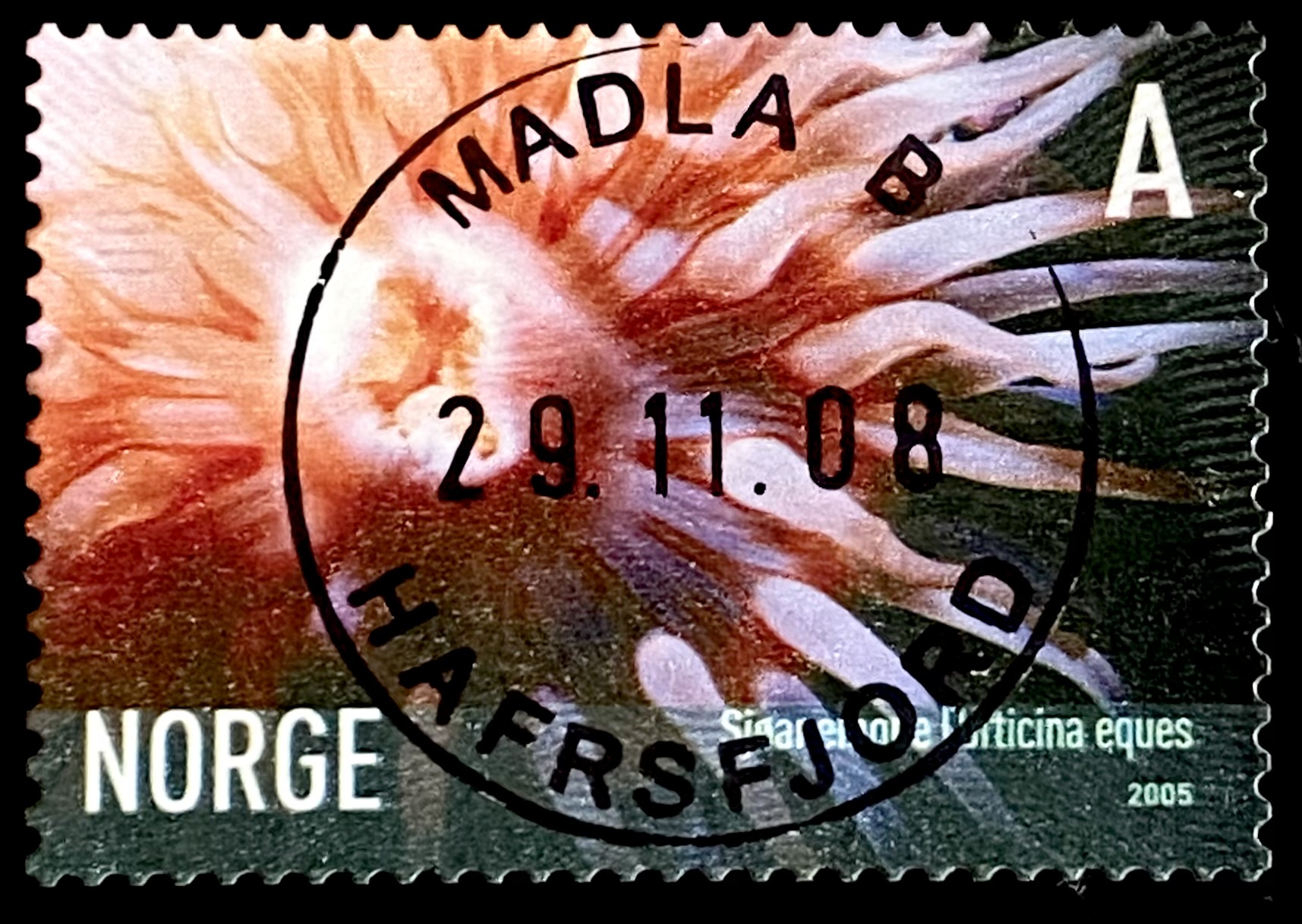 NK 1580 Hafrsfjord Madla