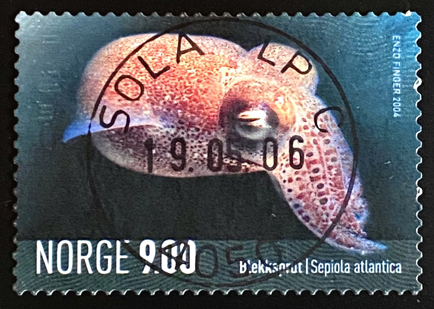 NK 1527 Sola