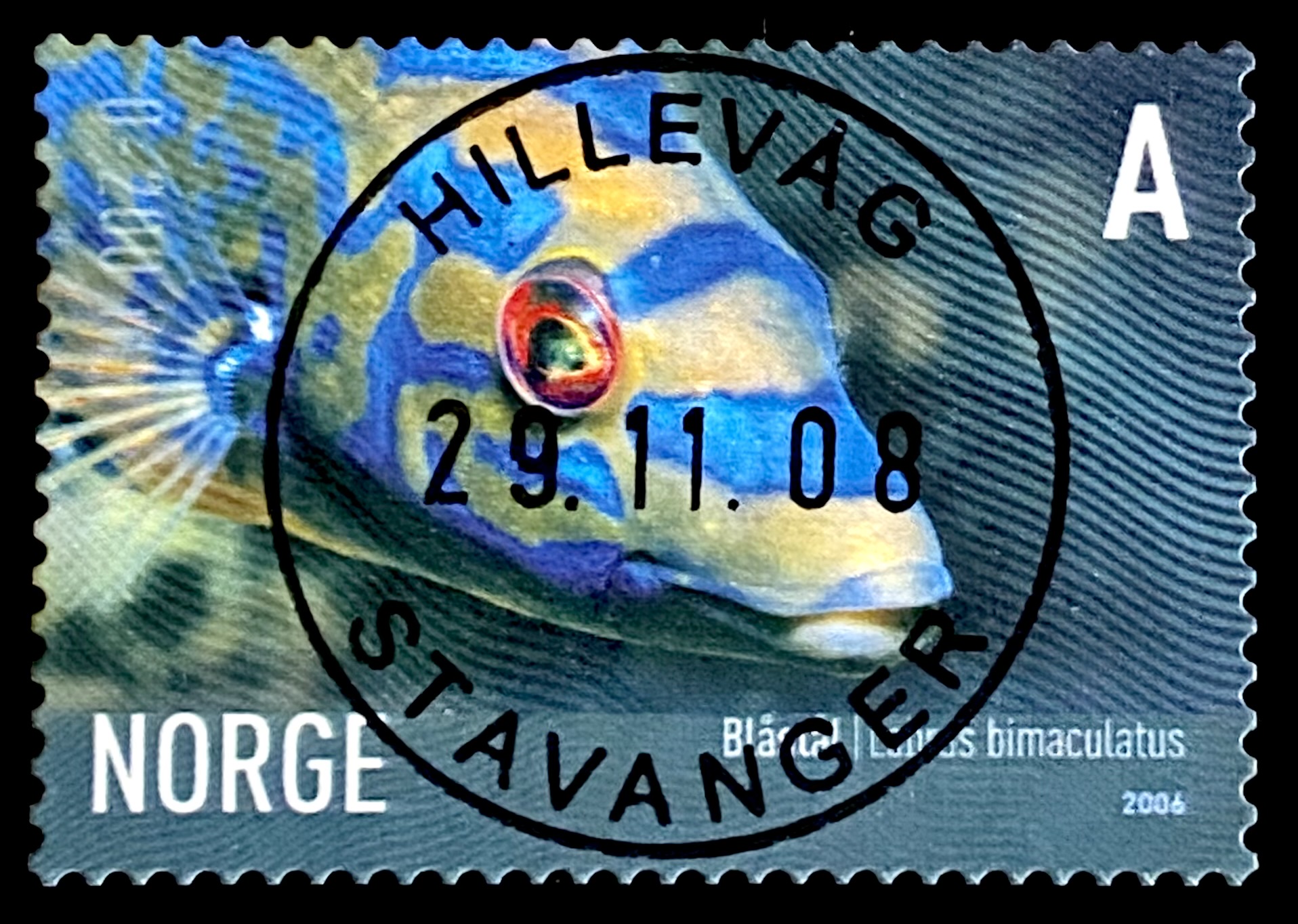 NK 1625 Stavanger Hillevåg