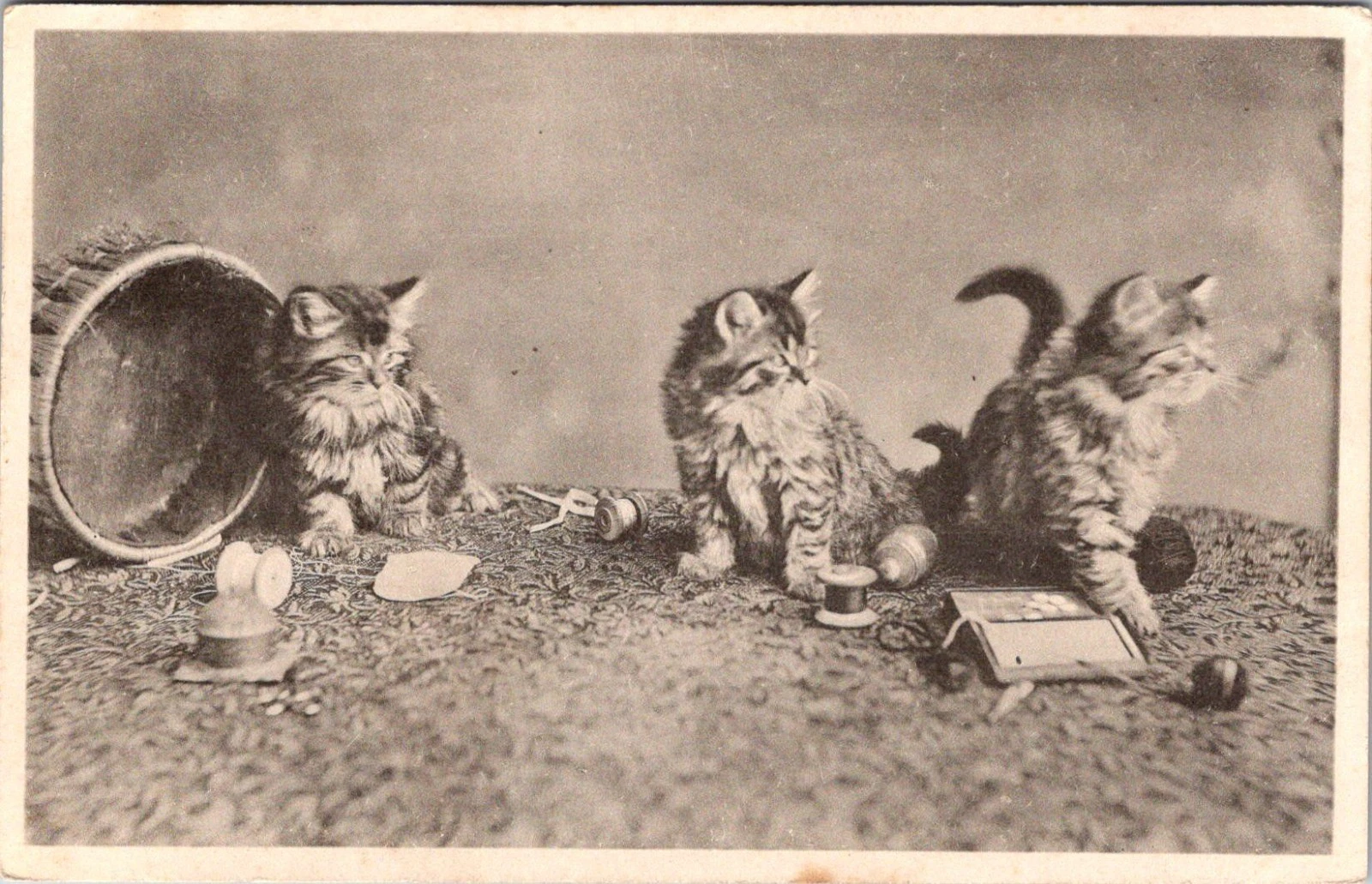 Antikk kattekort 1904 - Davidson Bros. “Our Pets” - Postkort