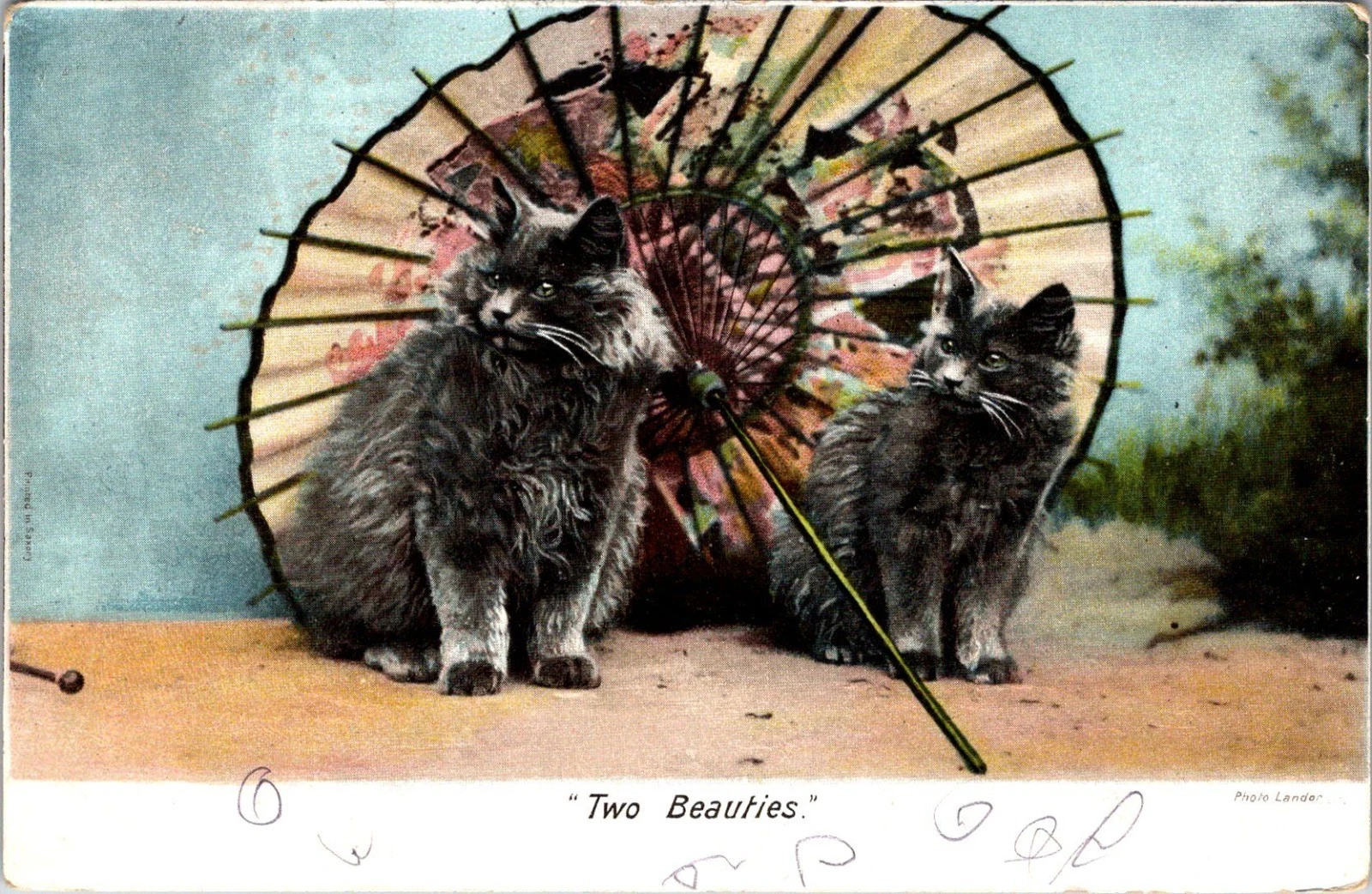 Antikk kattekort 1904 - "Two Beauties” - Hartmann Series 1527 - Postkort