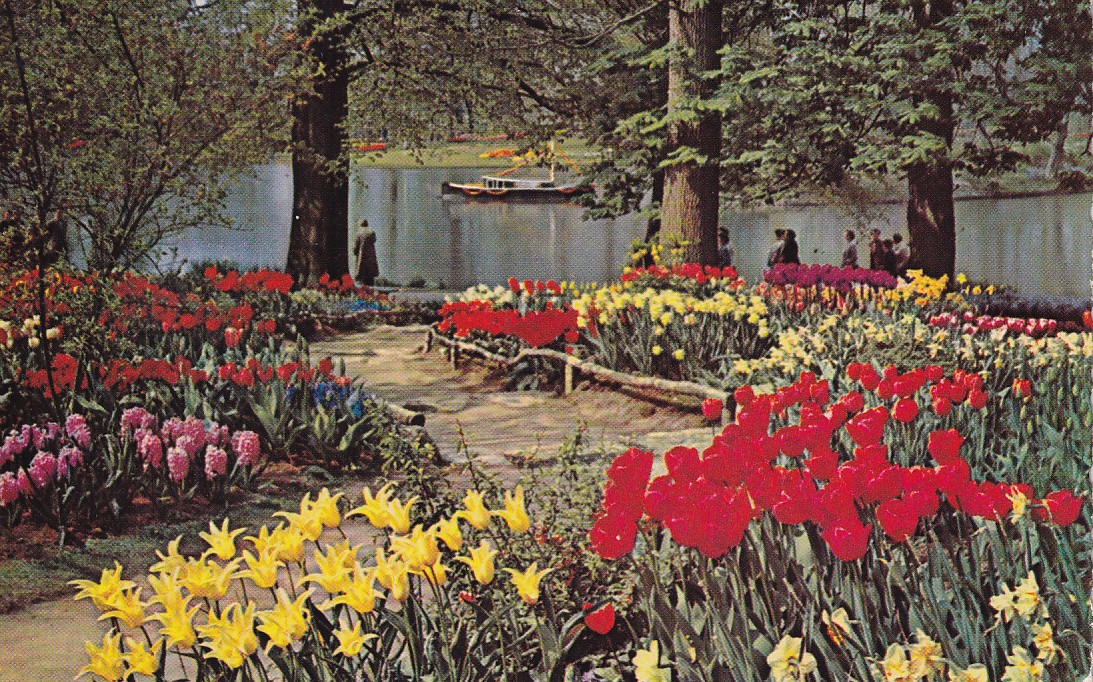 De Bloemenvelden in Bloei. It is Bulb-Time