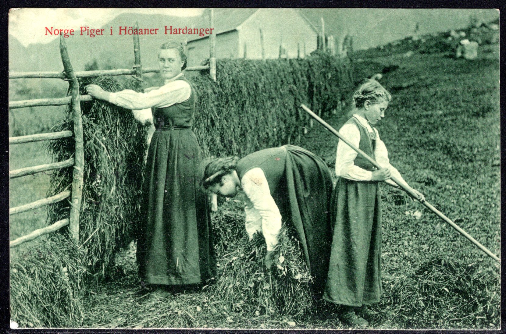 Piger i Høaaner i Hardanger br 1911 se scan