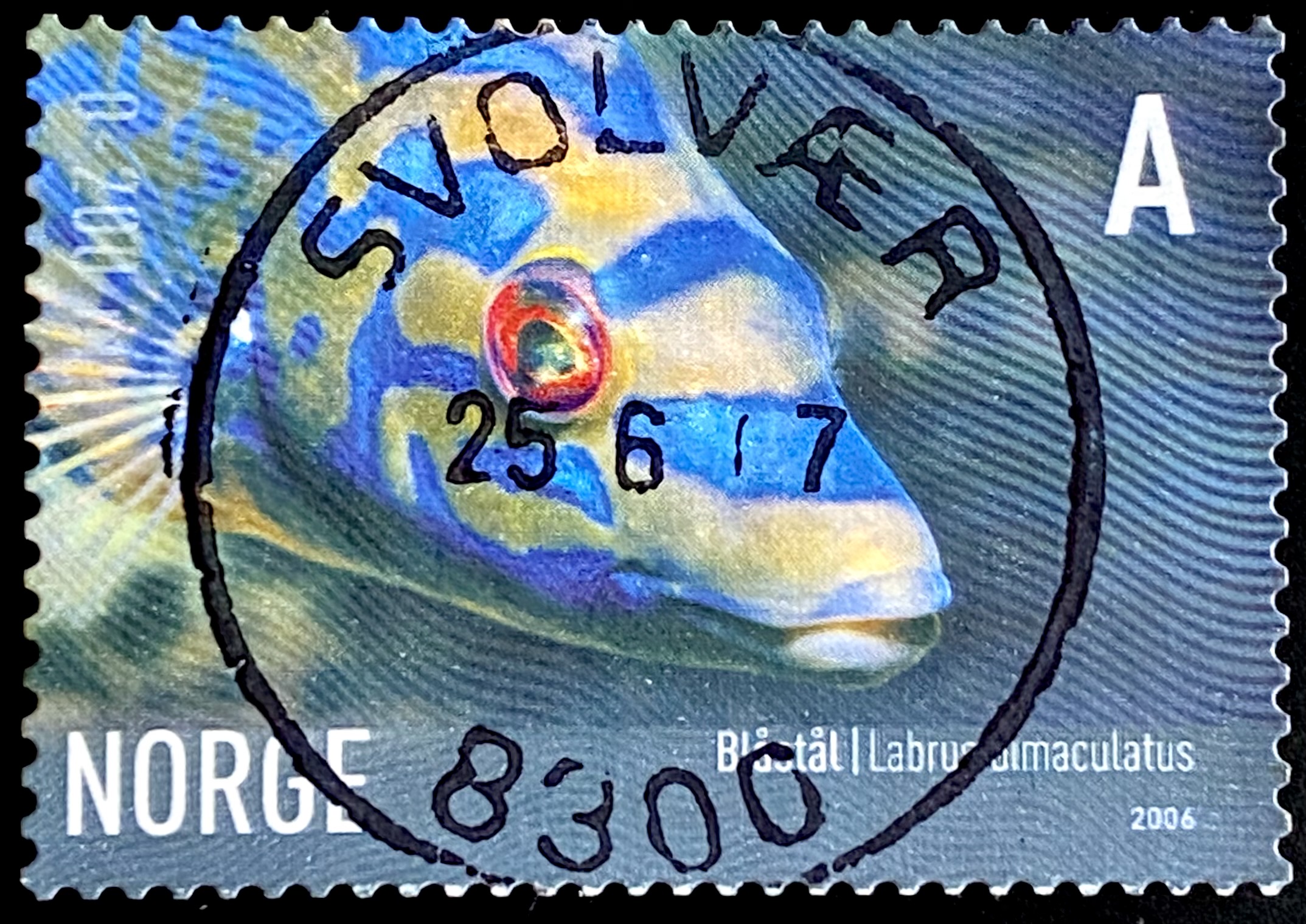 NK 1625 Svolvær