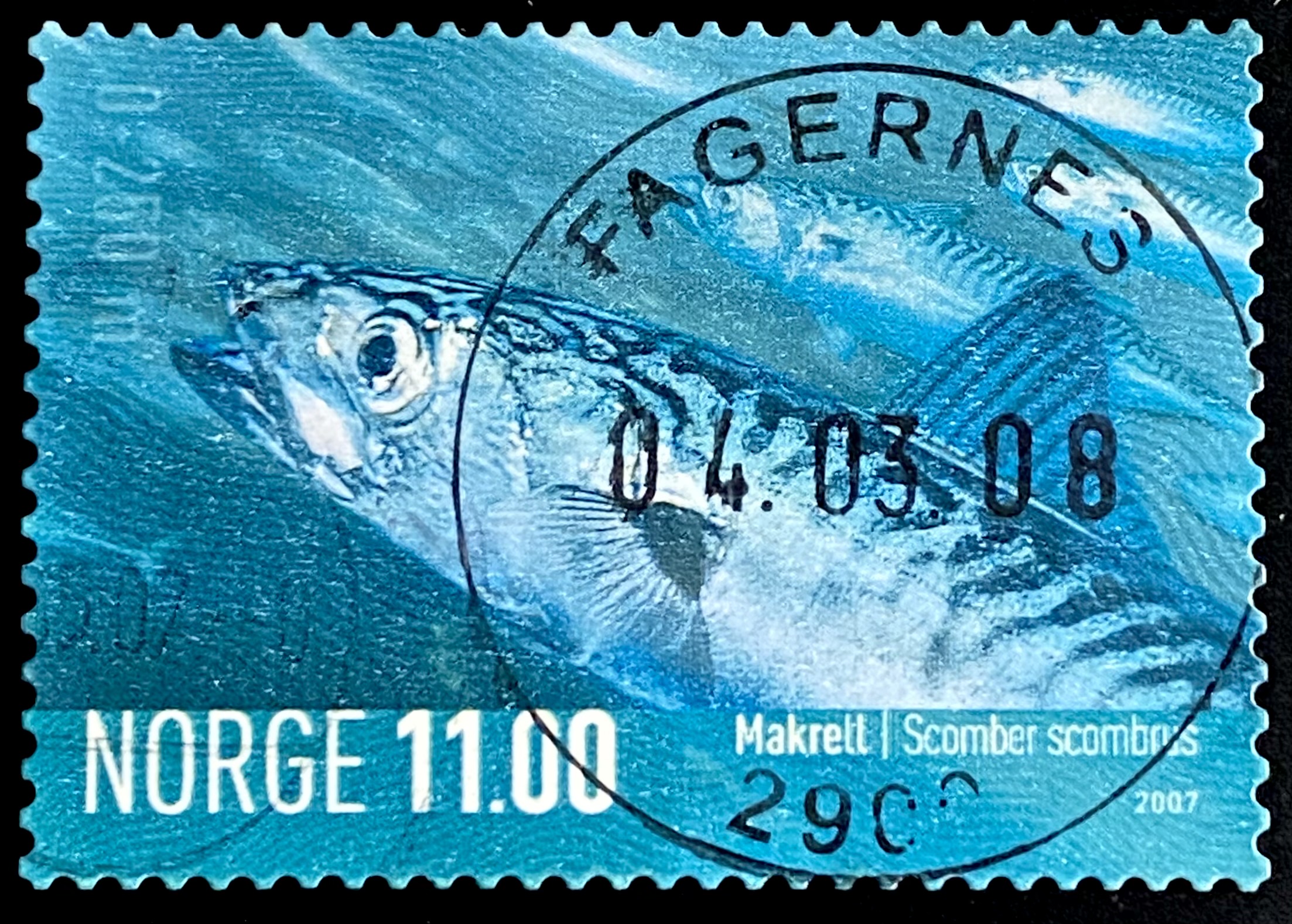 NK 1651 Fagernes