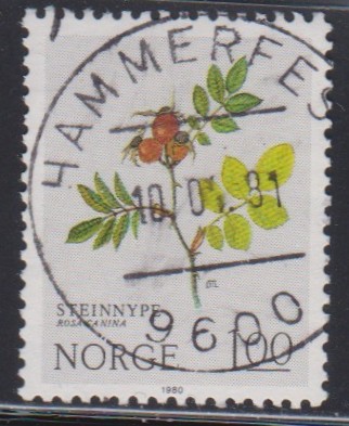 Nk 874. Hammerfest 10.04.81.