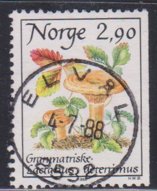Nk 1039.  Elvål 4-7-88.