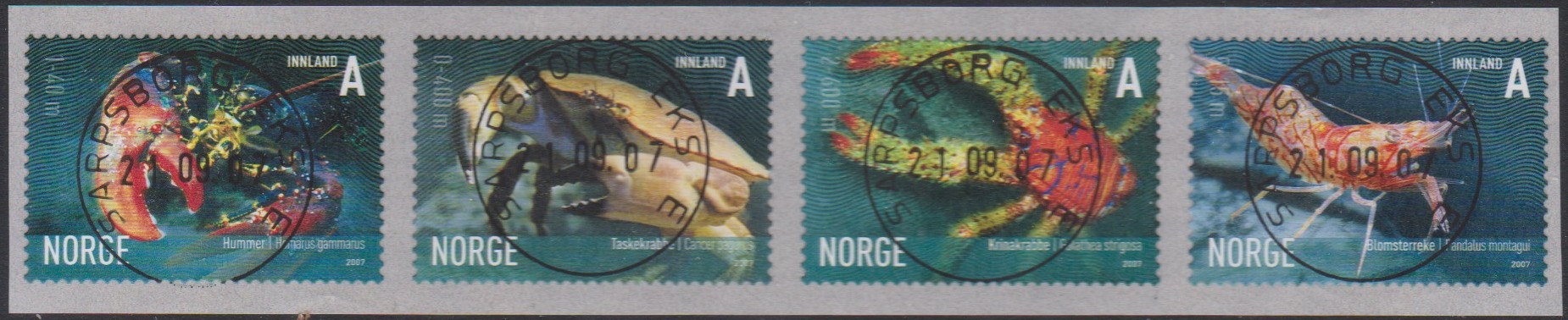 Nk 1660-63.  4-stripe.  Sarpsborg EKS E 21.09.07.