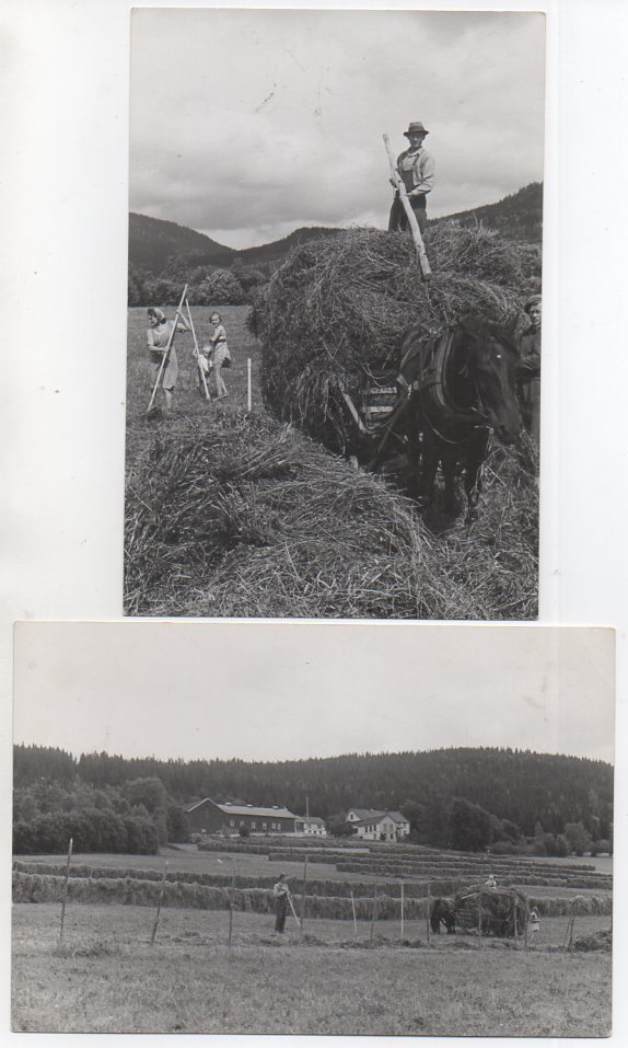 5 storformat S/H, et brukt Lillehammer Ersgaard