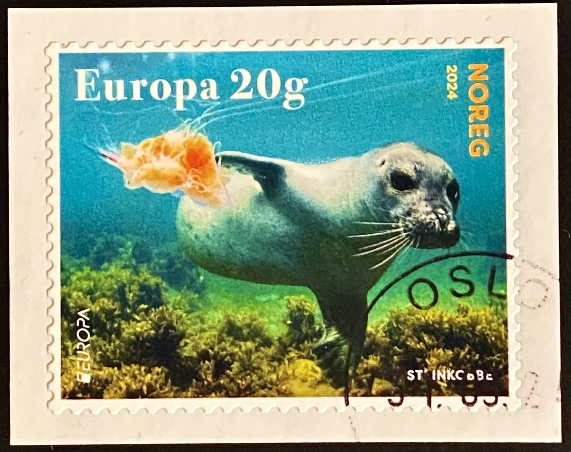 NK 2120 Oslo 1.dag