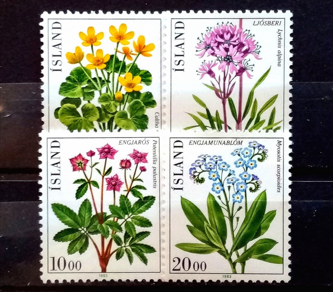 ISLAND - Afa: 592-95. Blomster. (1983) **