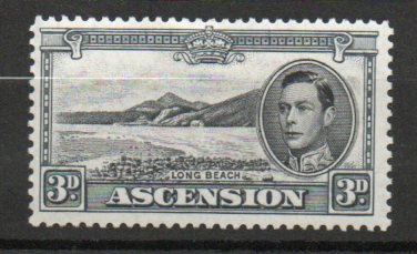 Ascension MI 46C *