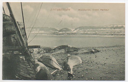 Spitsbergen Hvalstation Green Harbor småformat ubrukt