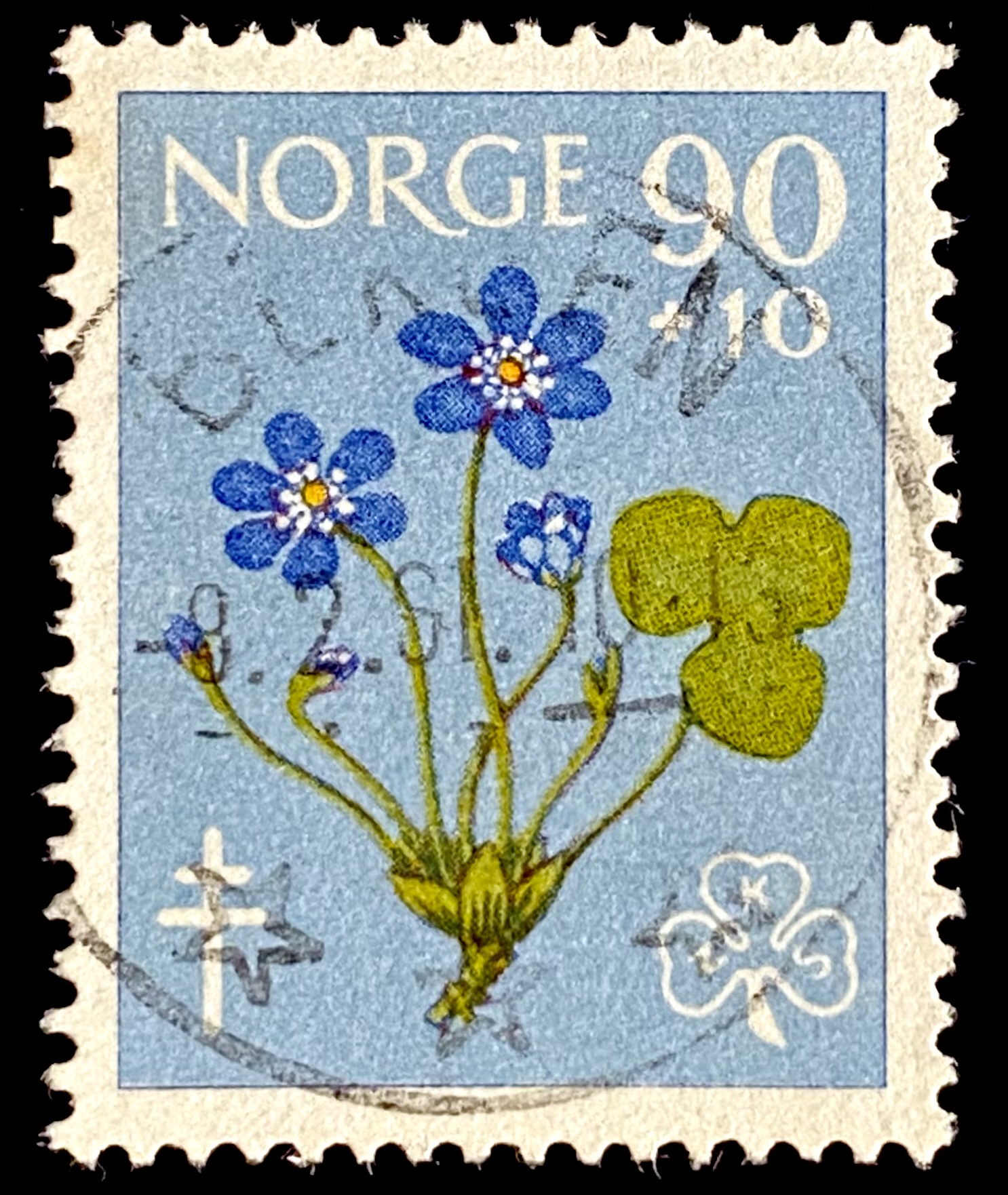 NK 480 Bergen -8. 2.61