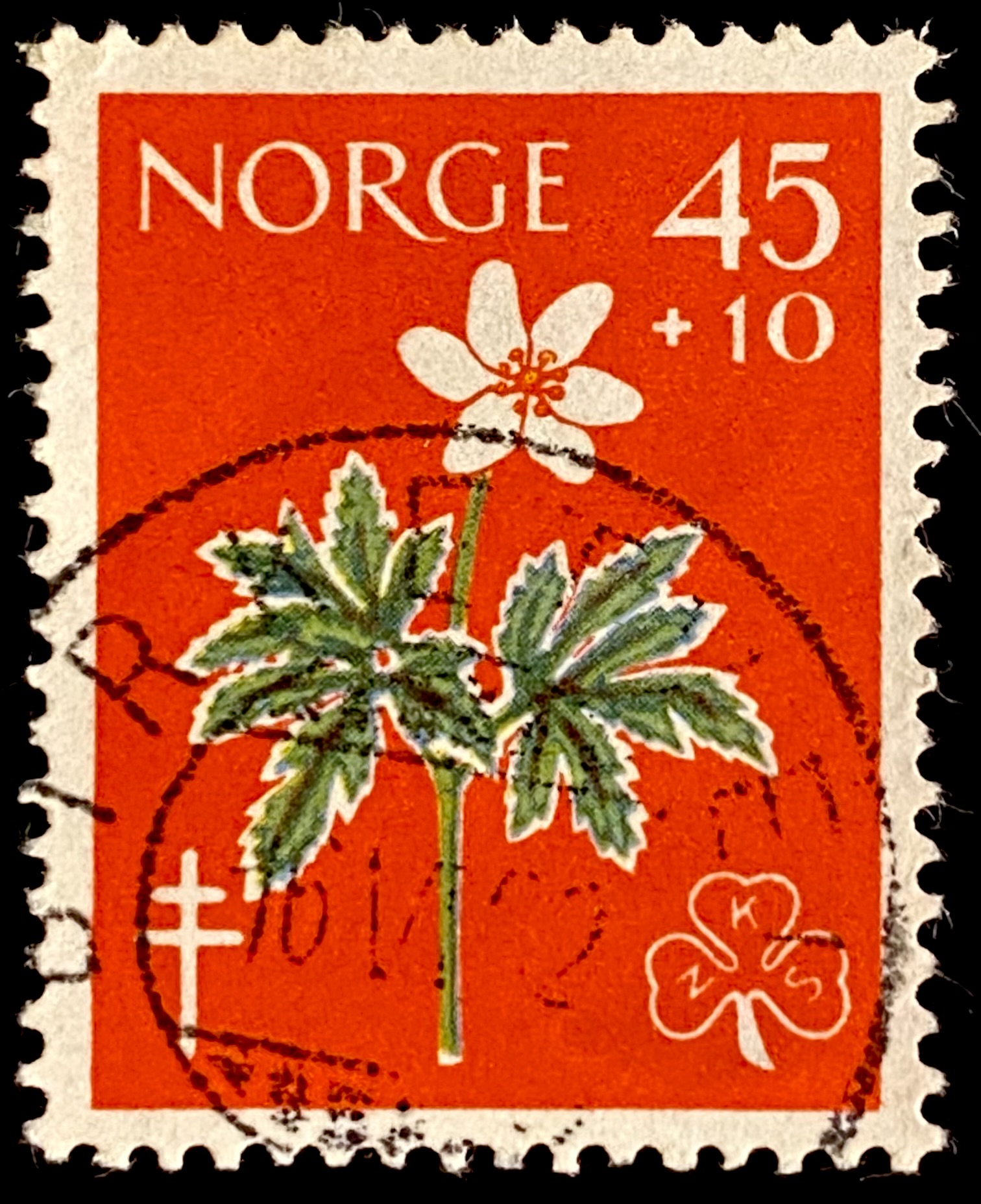 NK 479 Birketveit