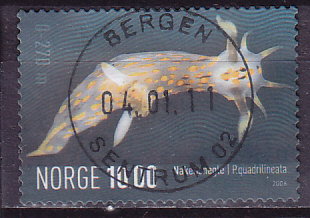 NK 1607. LUX BERGEN SENTRUM 02. 04.01.11