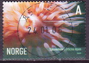 NK 1580. LUX ÅSANE 4. 24.01.06.