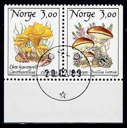 NK 1061-623. PENT STEMPLET 1.DAG