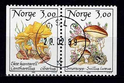 NK 1061-62. LUX STEMPLET 1.DAG