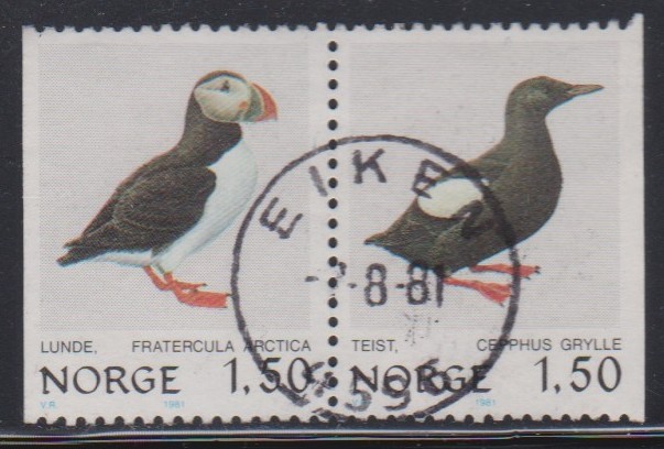 Nk 877-88.  Eiken 7-8-81.