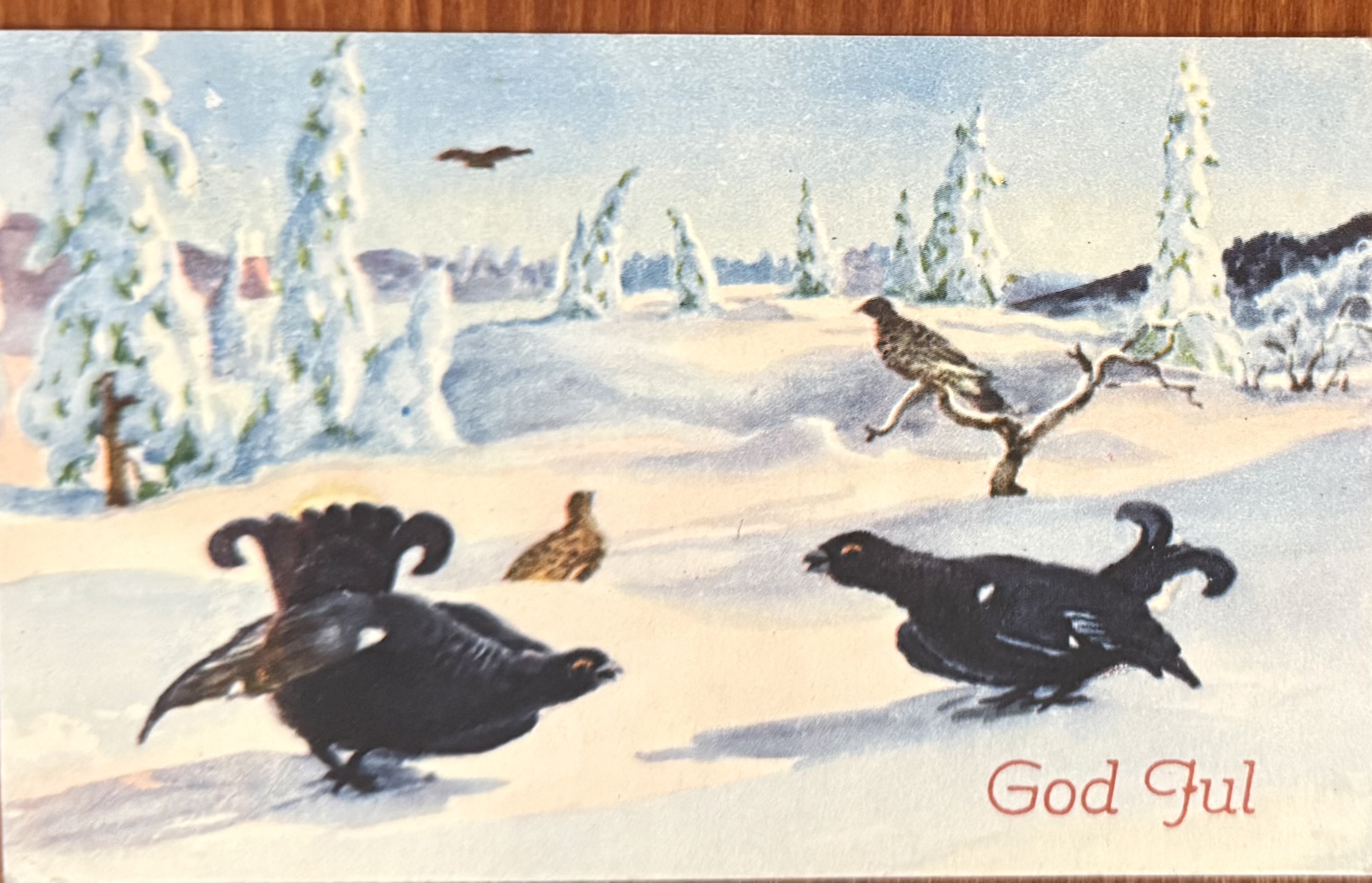 Stenberg, Norsk arbeide 560, Oslo -43