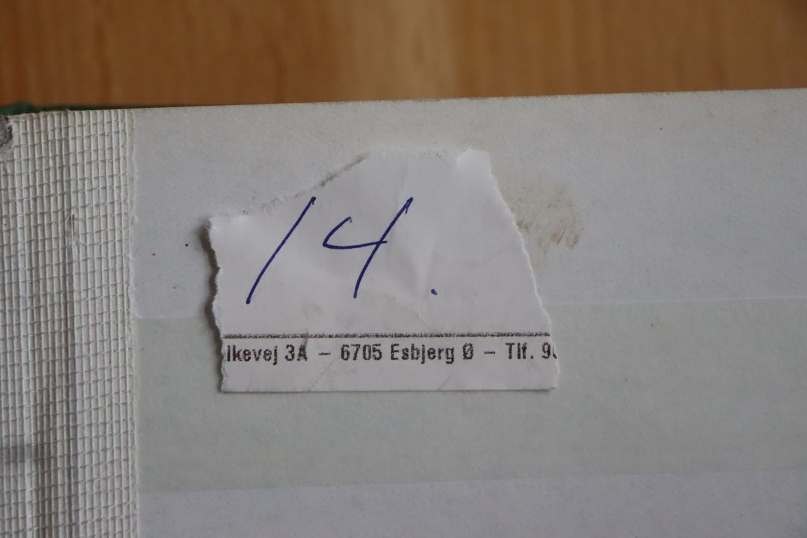 Gode bøger med Skandinavien (14)