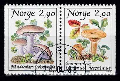 NK 1038-38. PENT STEMPLET 1.DAG