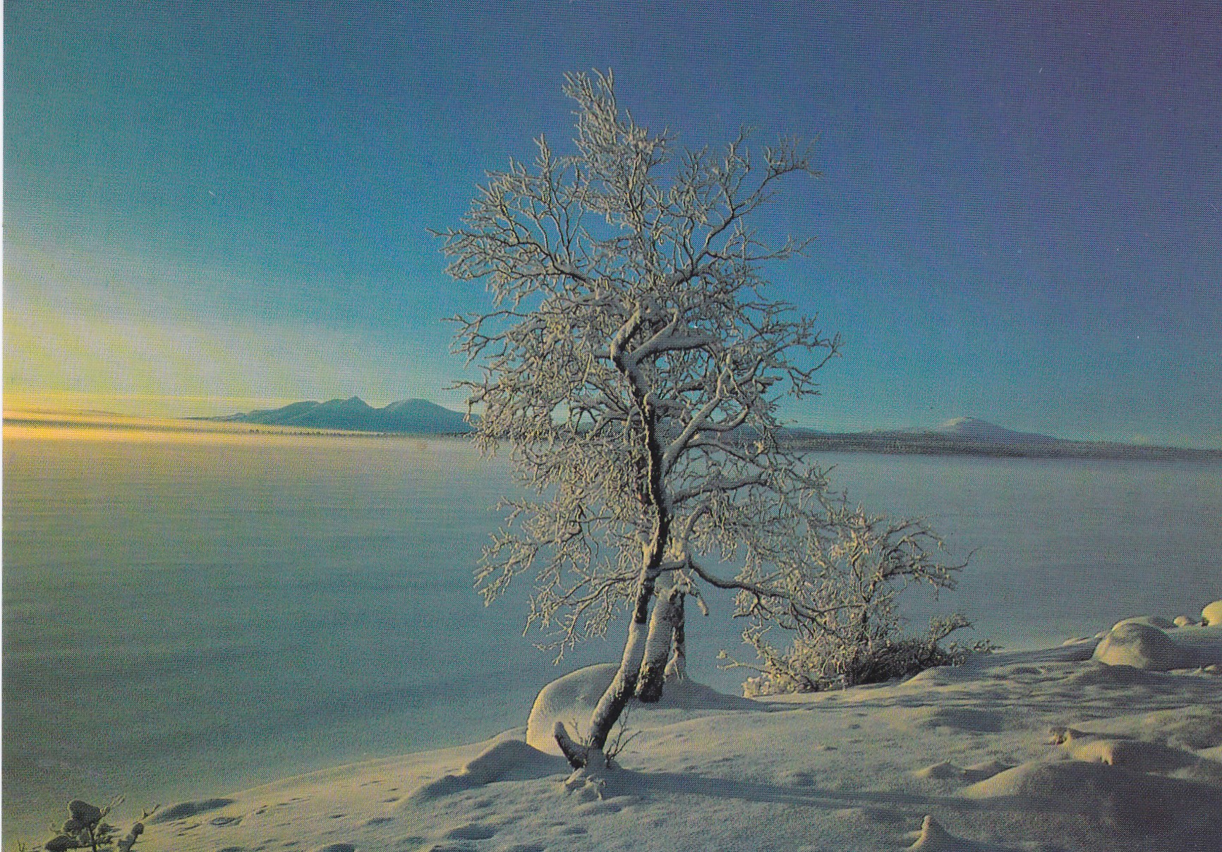 Vinter ved Femunden. Fotograf Jens O. Hagen.