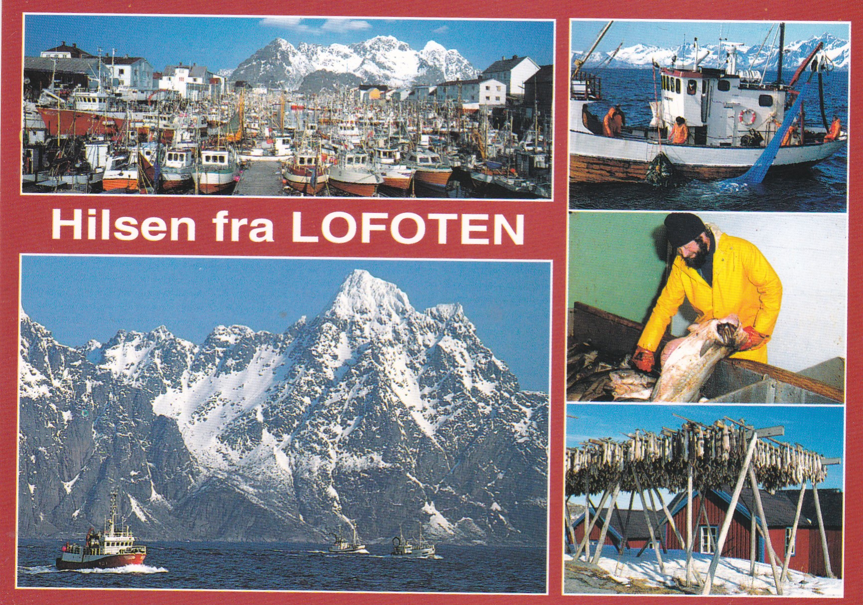 Lofoten. Aune M-15513-4