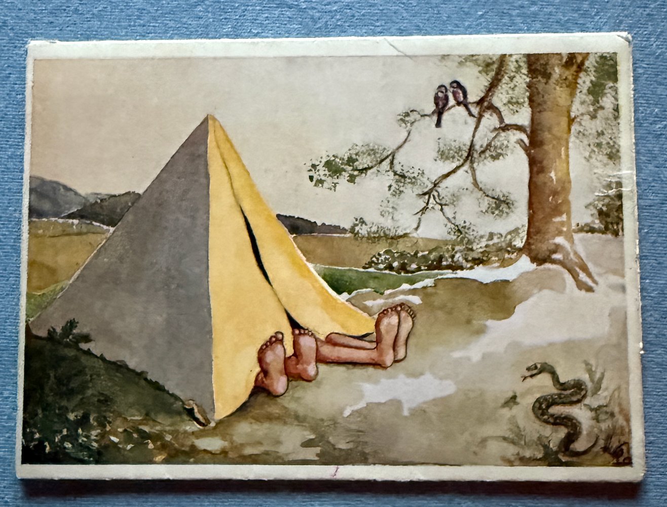 Vigdis Rojahn - uvanlig, utbrett (Norsk Sertifikat Arbeide Serie 208)