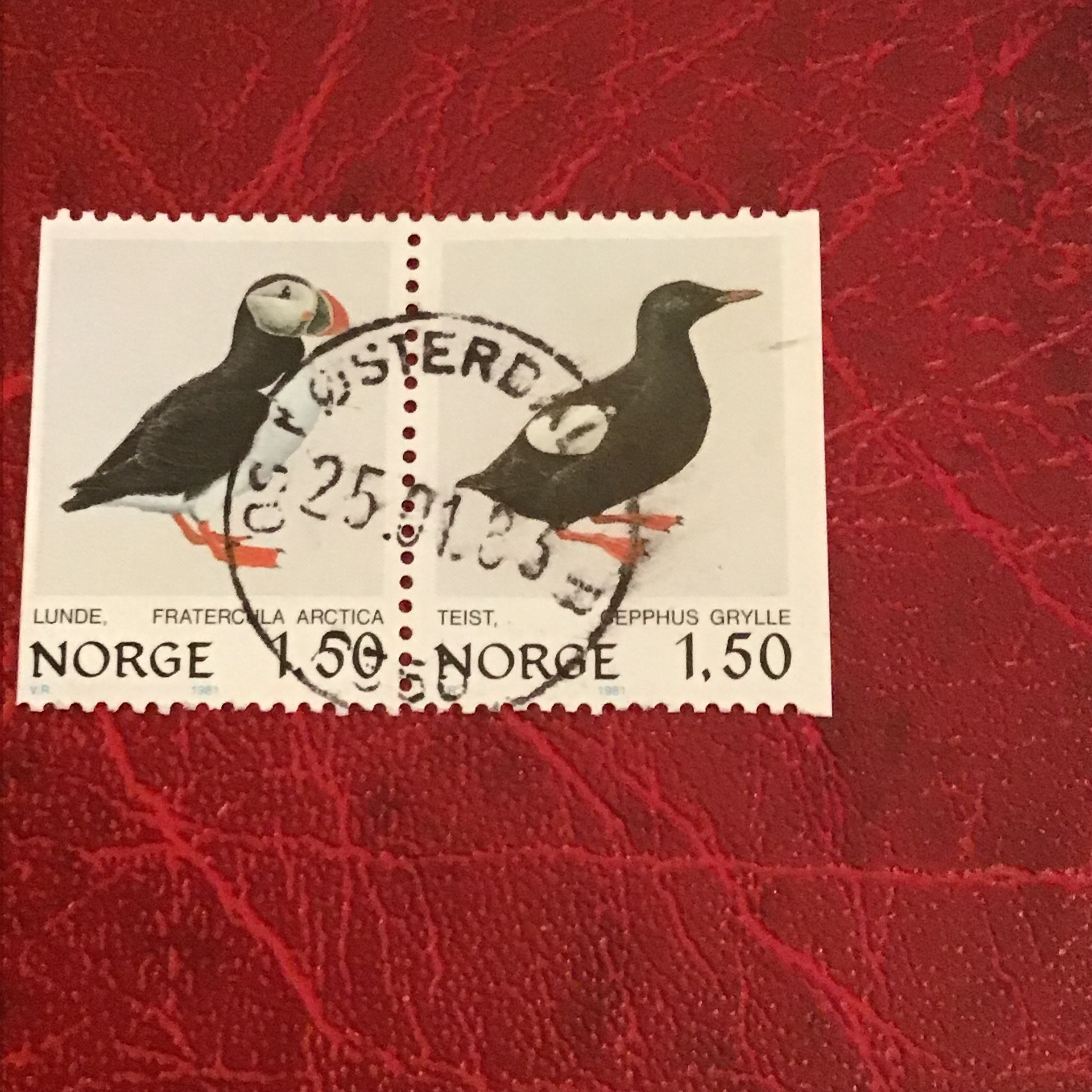 Os i Østerdalen.  25 01 85