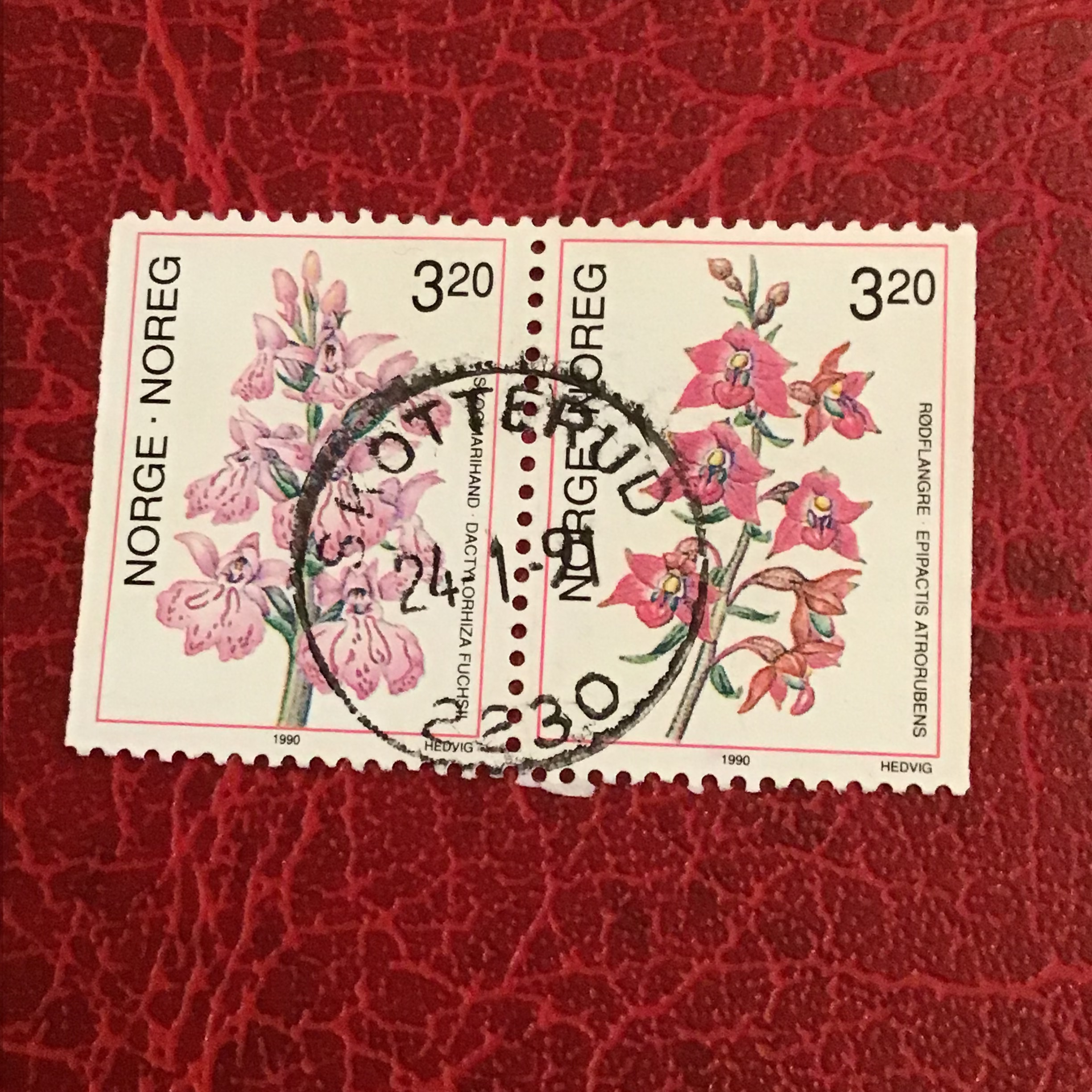 SKotterud.  24 01 91