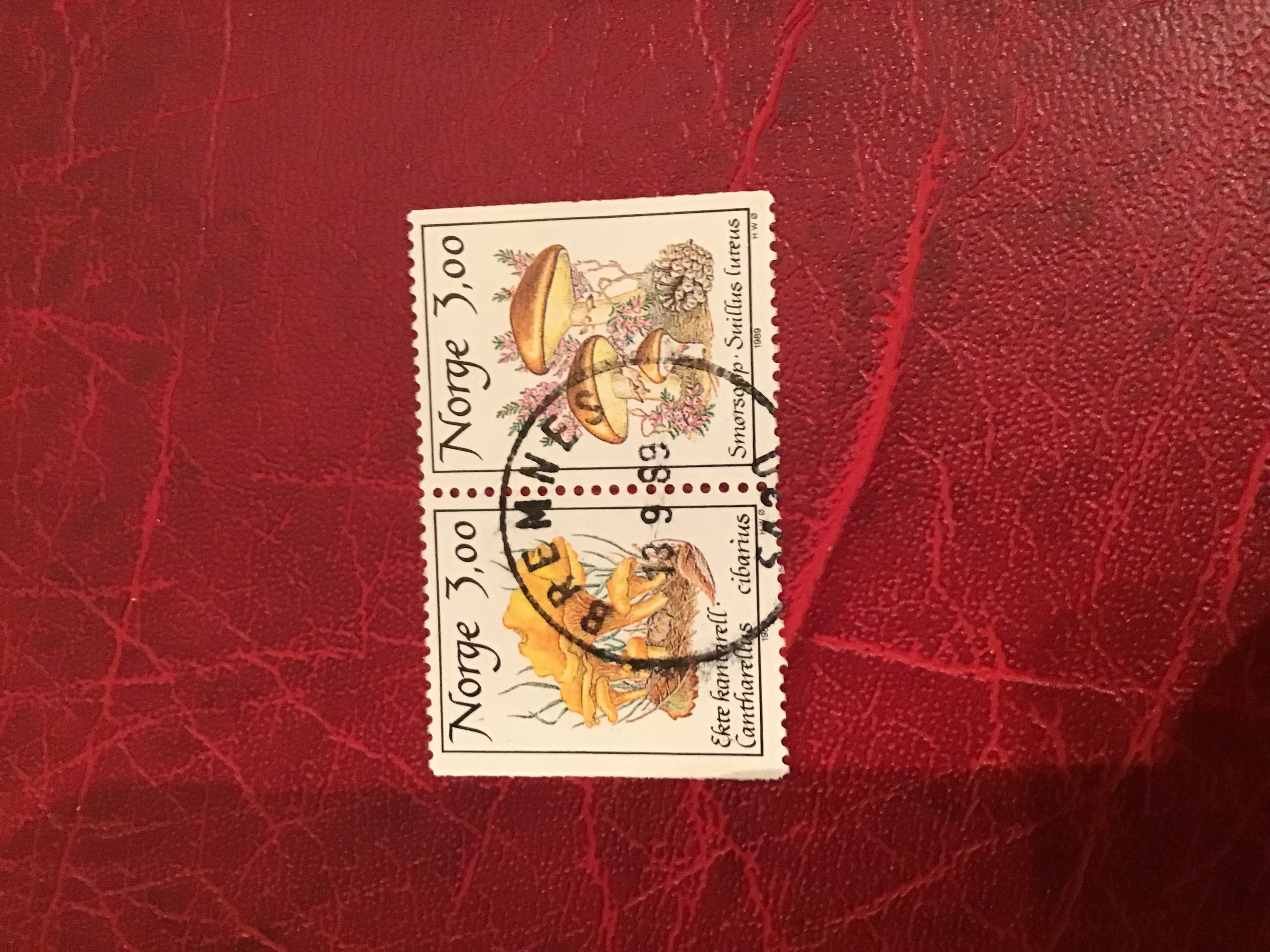 Bremnes.   Par. 13 9 89