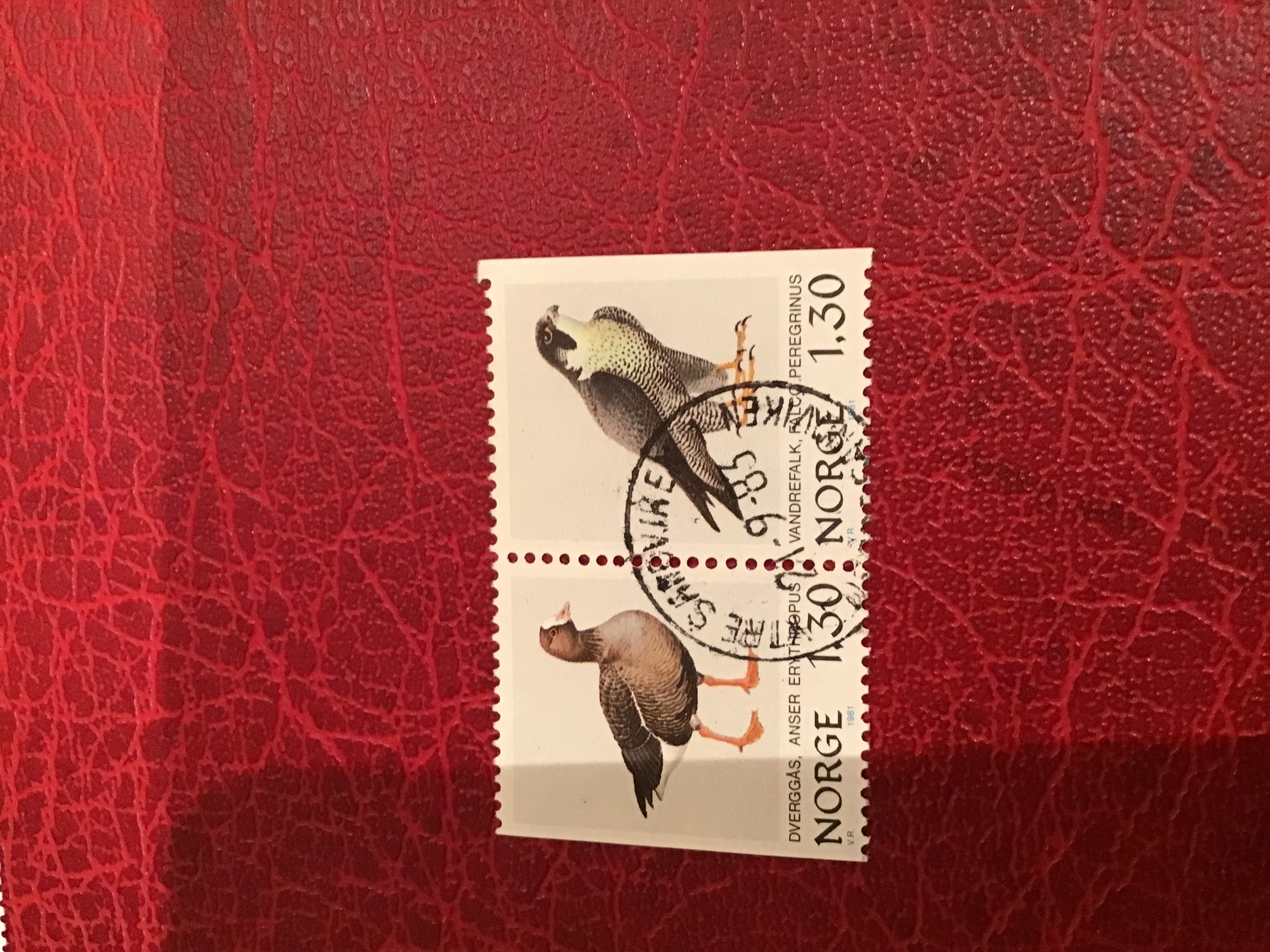 Midtre Sandvikan Par. 21 9 85