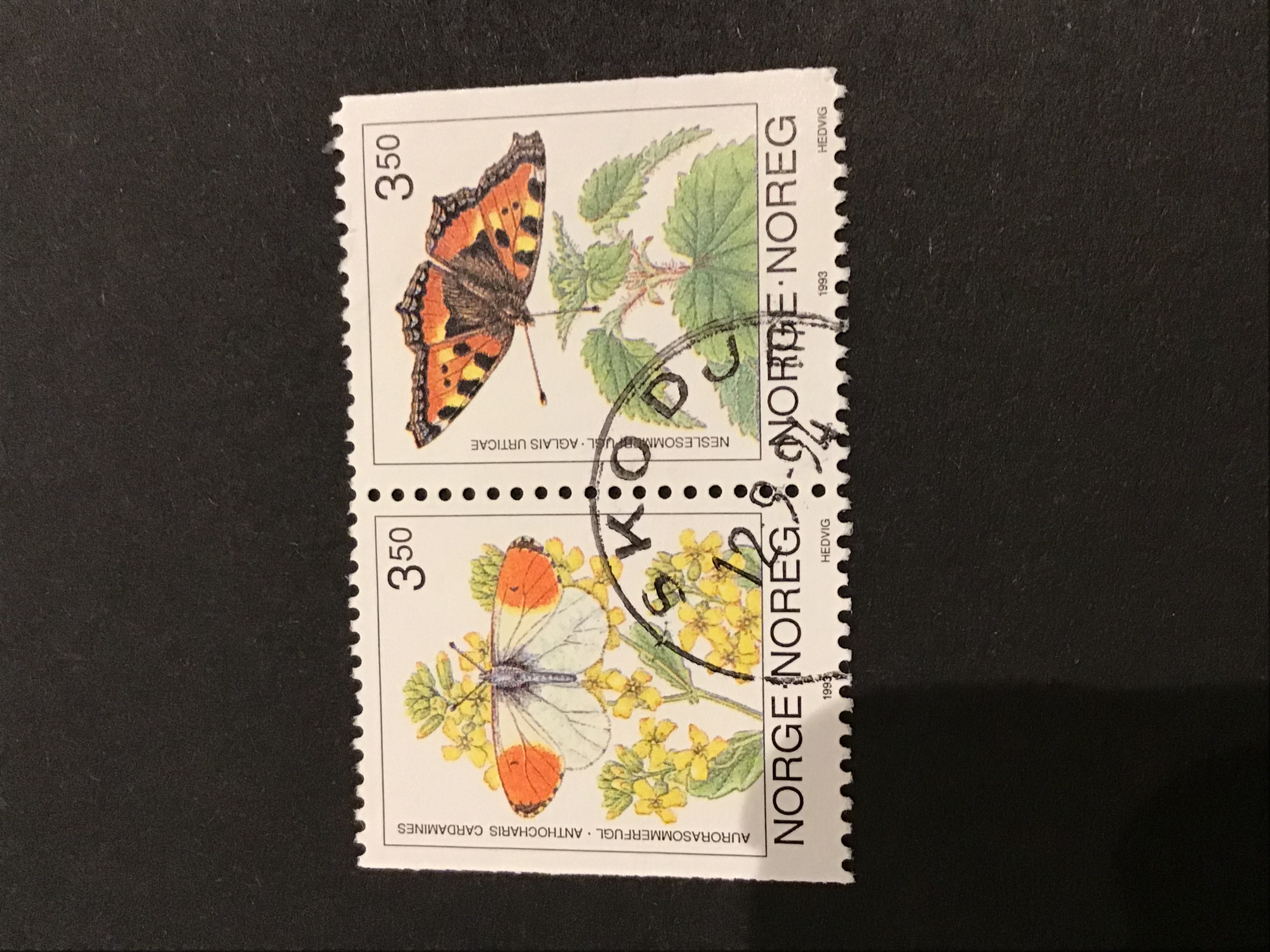 Skodje Par. 12 9 94