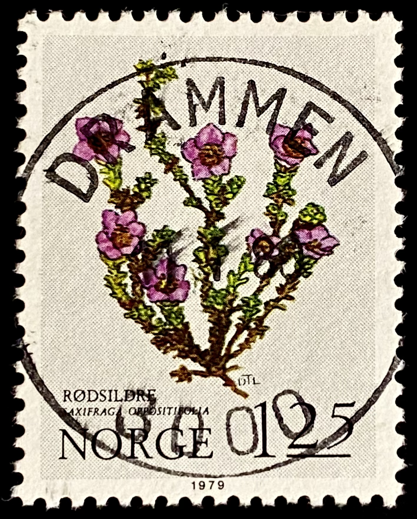 NK 856 Drammen