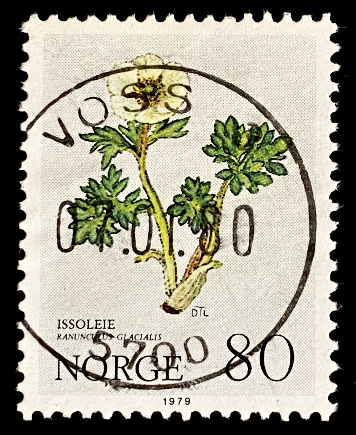 NK 854 Voss