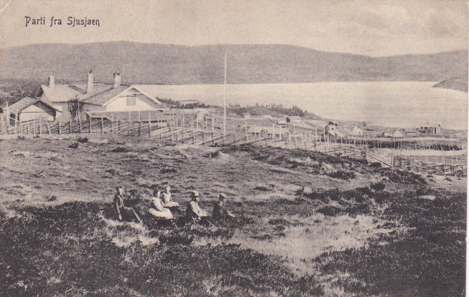 Parti fra Sjusjøen ( N L & R 162)